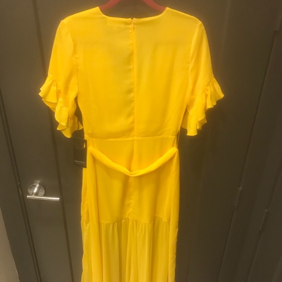 Privacy Please Chrysanthemum Gown in Yellow - Picture 5 of 6